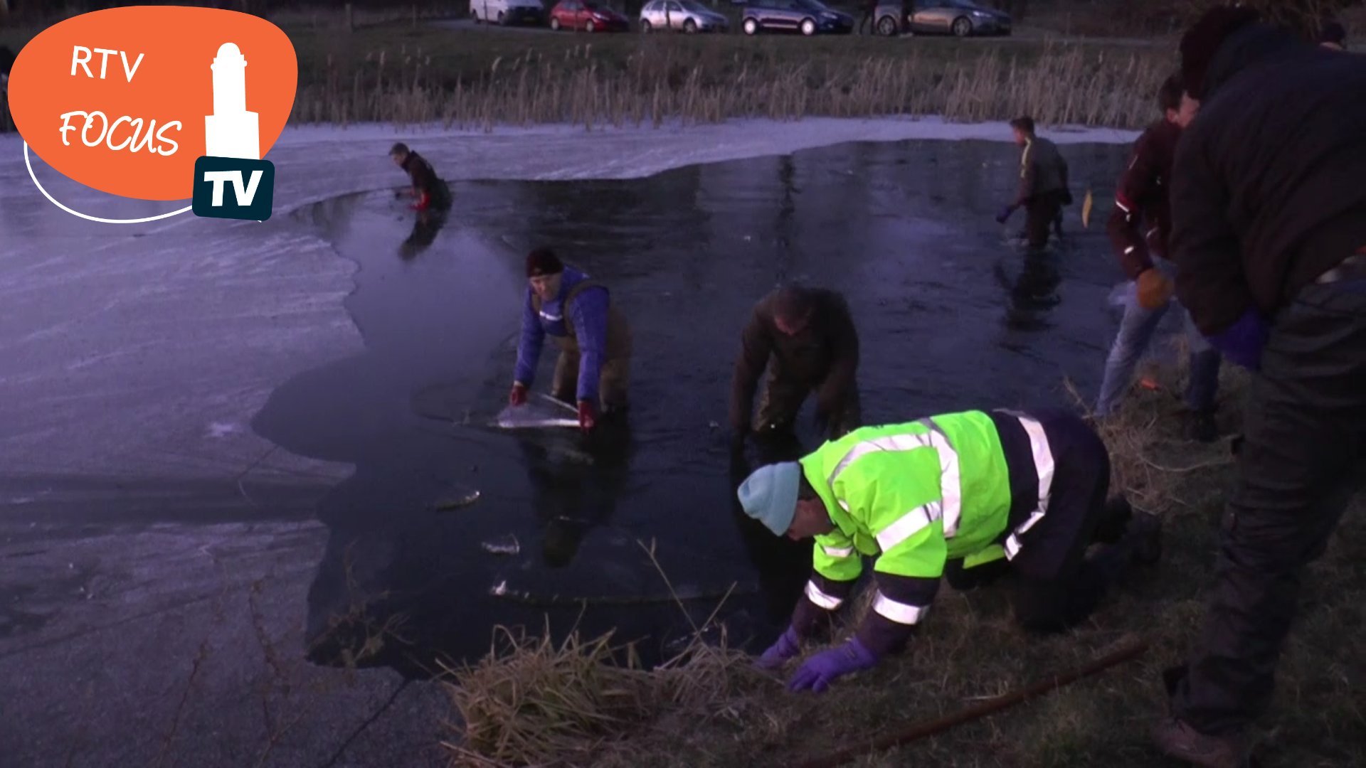 Video – IJsvereniging WVF werkt met man en macht aan ijstransplantatie