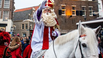 Sinterklaas komt aan in Zwolle op zaterdag 15 november - Foto Sinterklaasintocht © Matthijs van Os