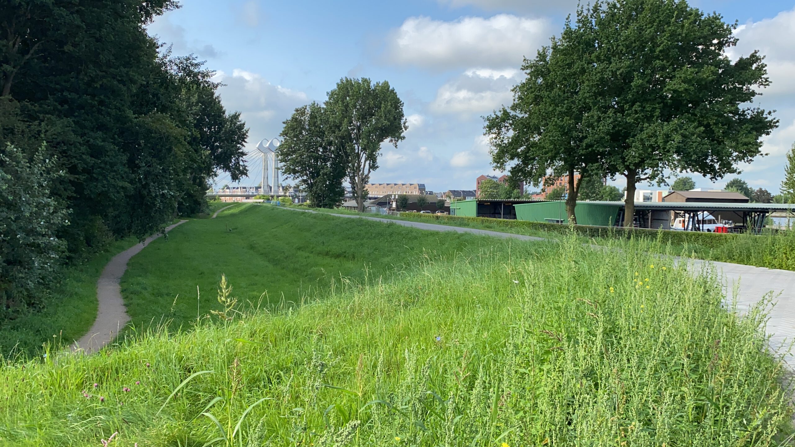 Is bouwen in de uiterwaarden bij Holtenbroek verstandig?