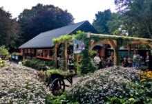 Dierenweide Dieze Oost / Knuffelkonijntjes © RTV Focus Zwolle