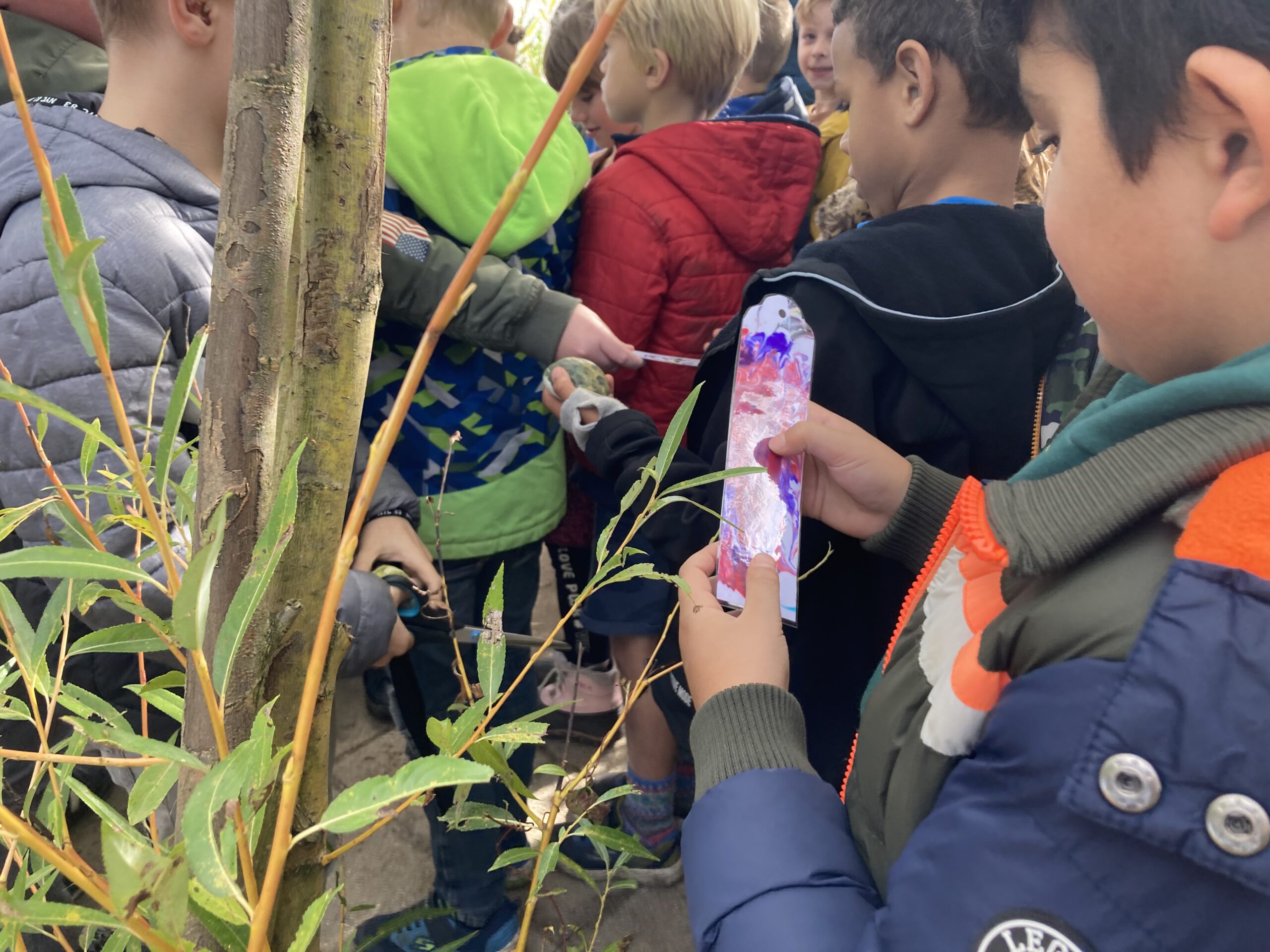 hurken Verslaving Rijpen Opening natuurplein voor de kinderen van de Aquarel en de Twijn – RTV Focus