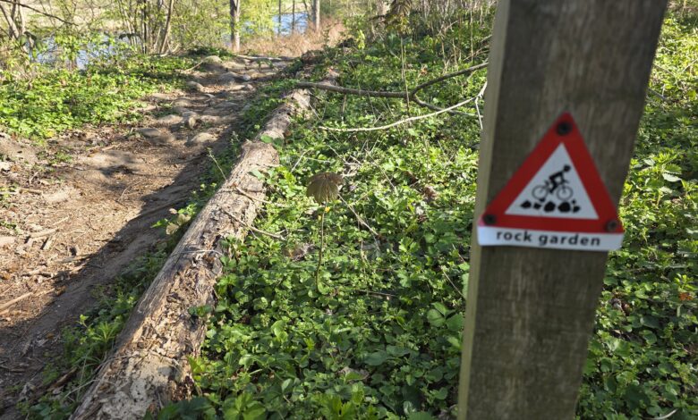 MTB-Parcours Westerveldse Bos _ Foto © RTV Focus Zwolle