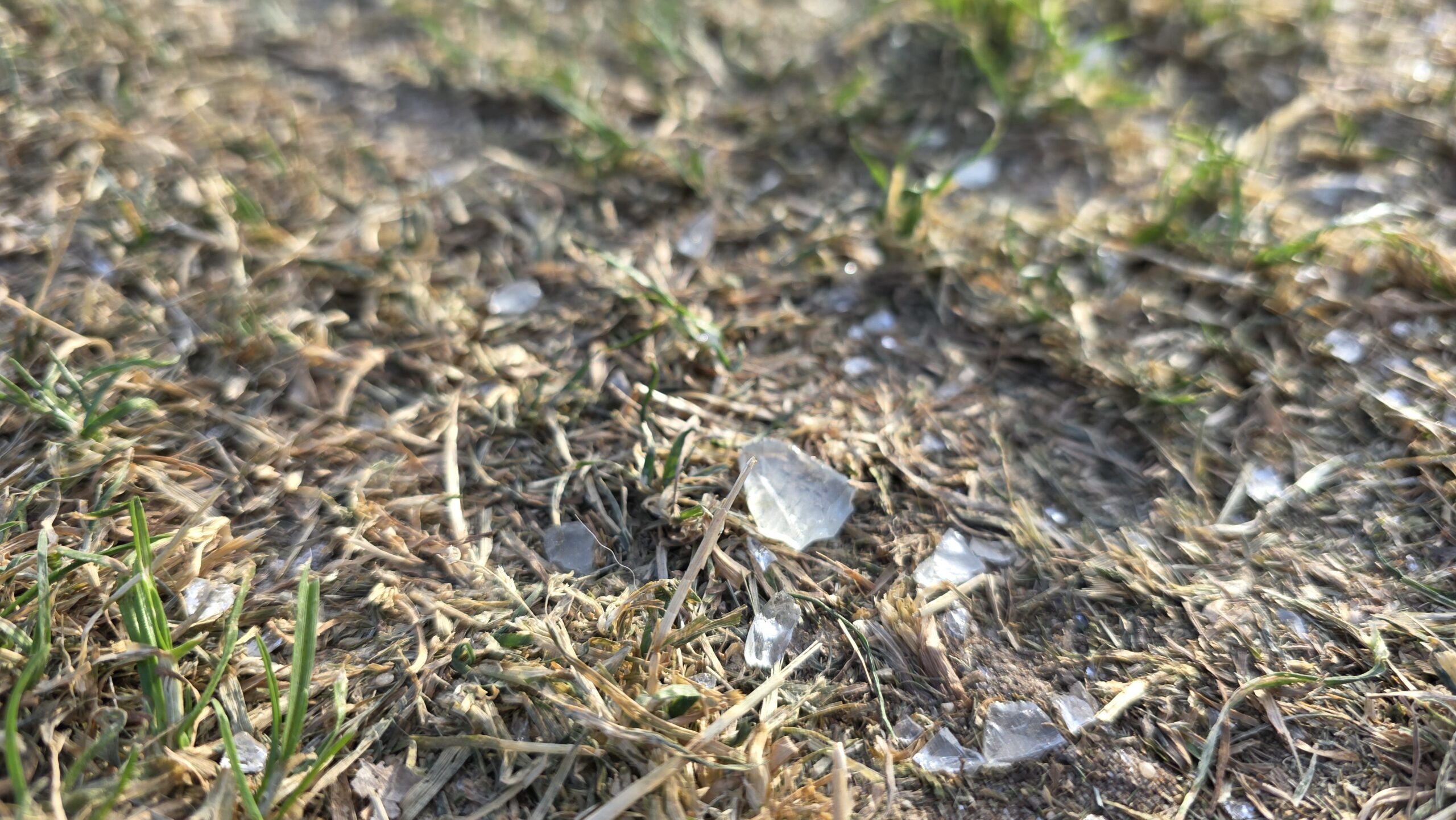 Glasscherven in het gras