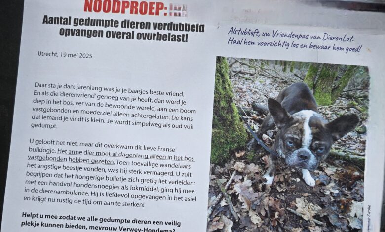 Dierenlot campagne met gedumpt Frans Buldogje