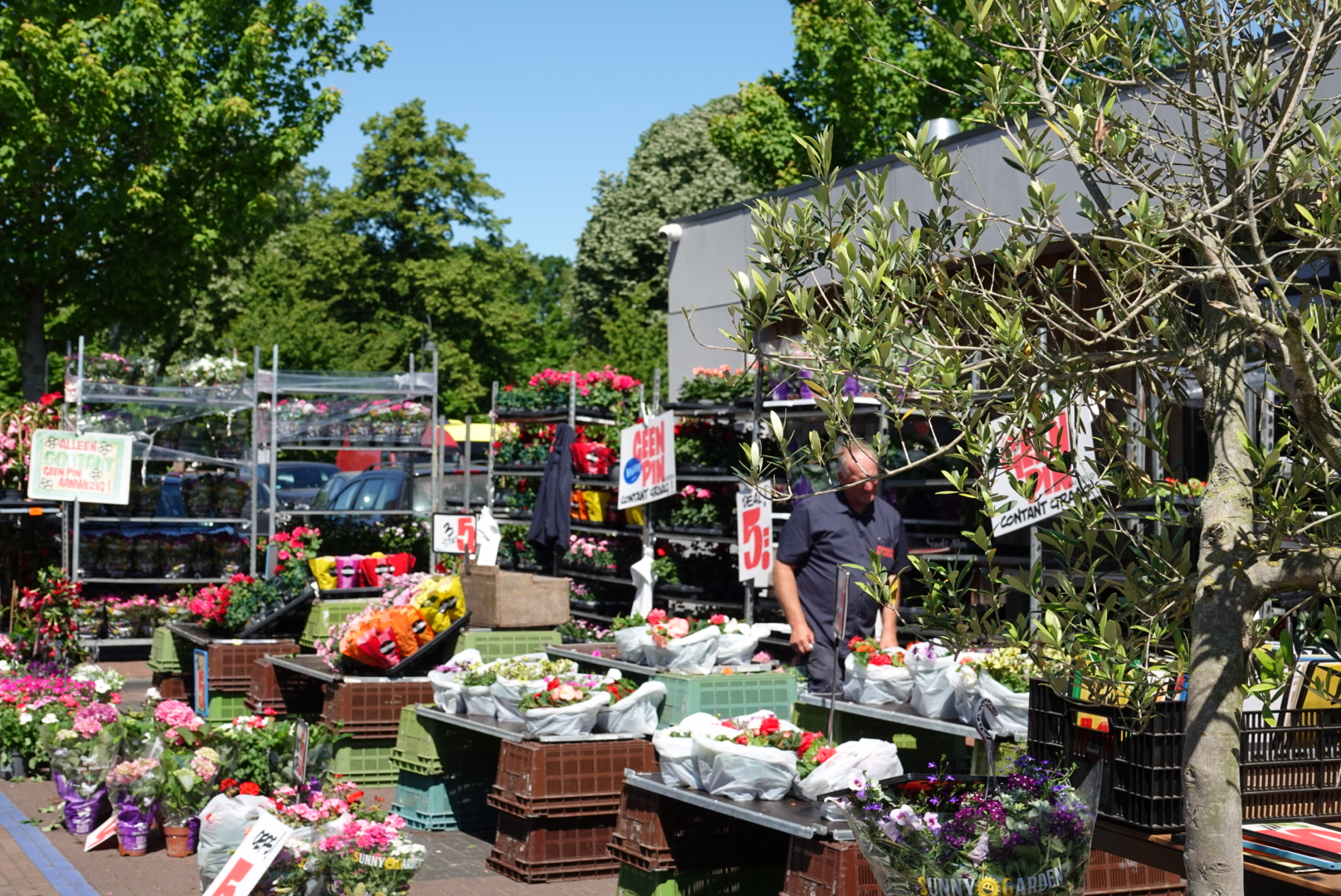 Markt Ommen Centrum