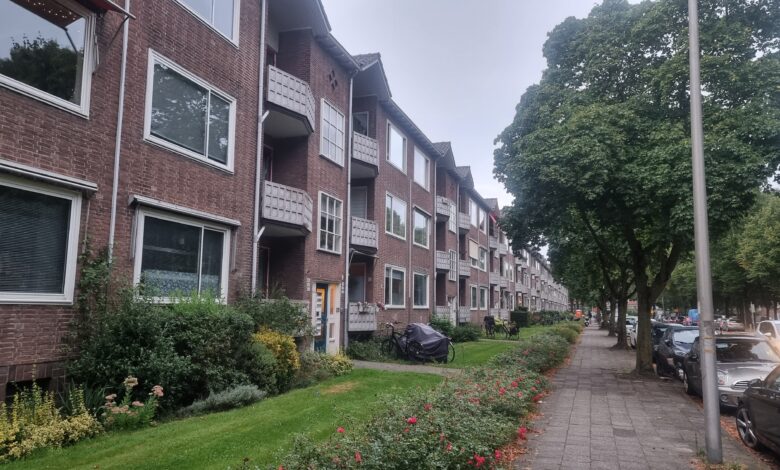 De Hanekamp in Zwolle die in aanmerking komt voor optopping - Foto © RTV Focus Zwolle
