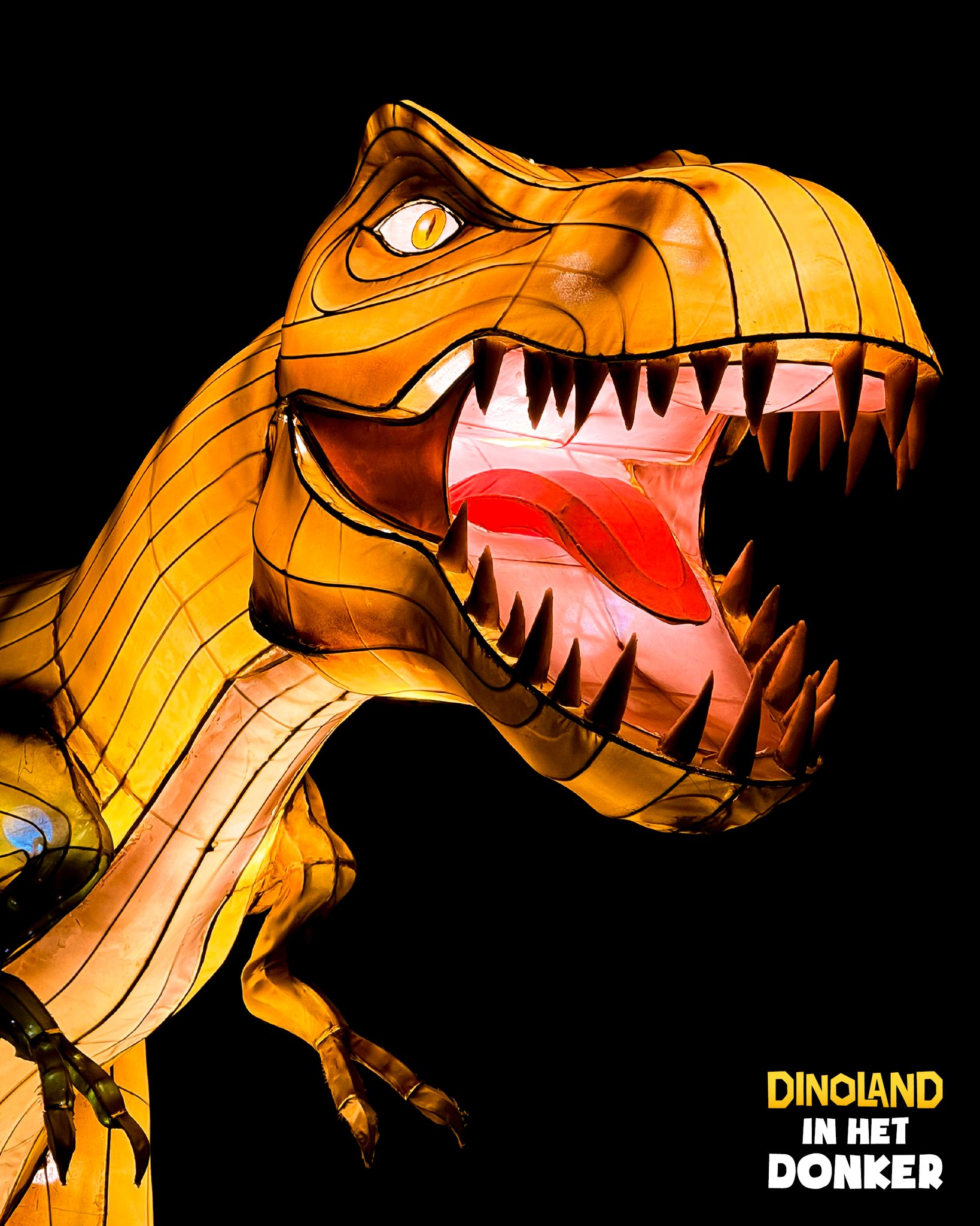 Dinoland in het Donker - Foto eigen