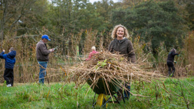 Vrijwilligers aan het werk tijdens Natuurwerkdag in Van Stolkspark Hasselt