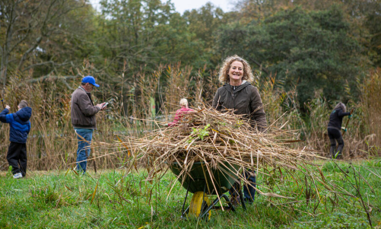 Vrijwilligers aan het werk tijdens Natuurwerkdag in Van Stolkspark Hasselt