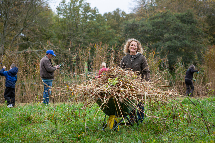 Natuurwerkdag in Hasselt: help mee op 31 oktober en 1 november