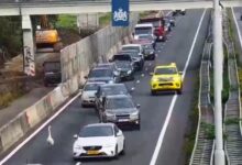 Zwaan op de rijbaan van de A2 bij Gorinchem - Beeld videostill Rijkswaterstaat