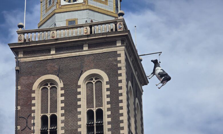 Kamper Ui(t) Dagen blijken grotere trekker dan voorgaande jaren - Foto © Focus1