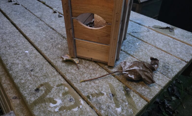 Dun laagje sneeuw in Zwolle - Foto © RTV Focus Zwolle