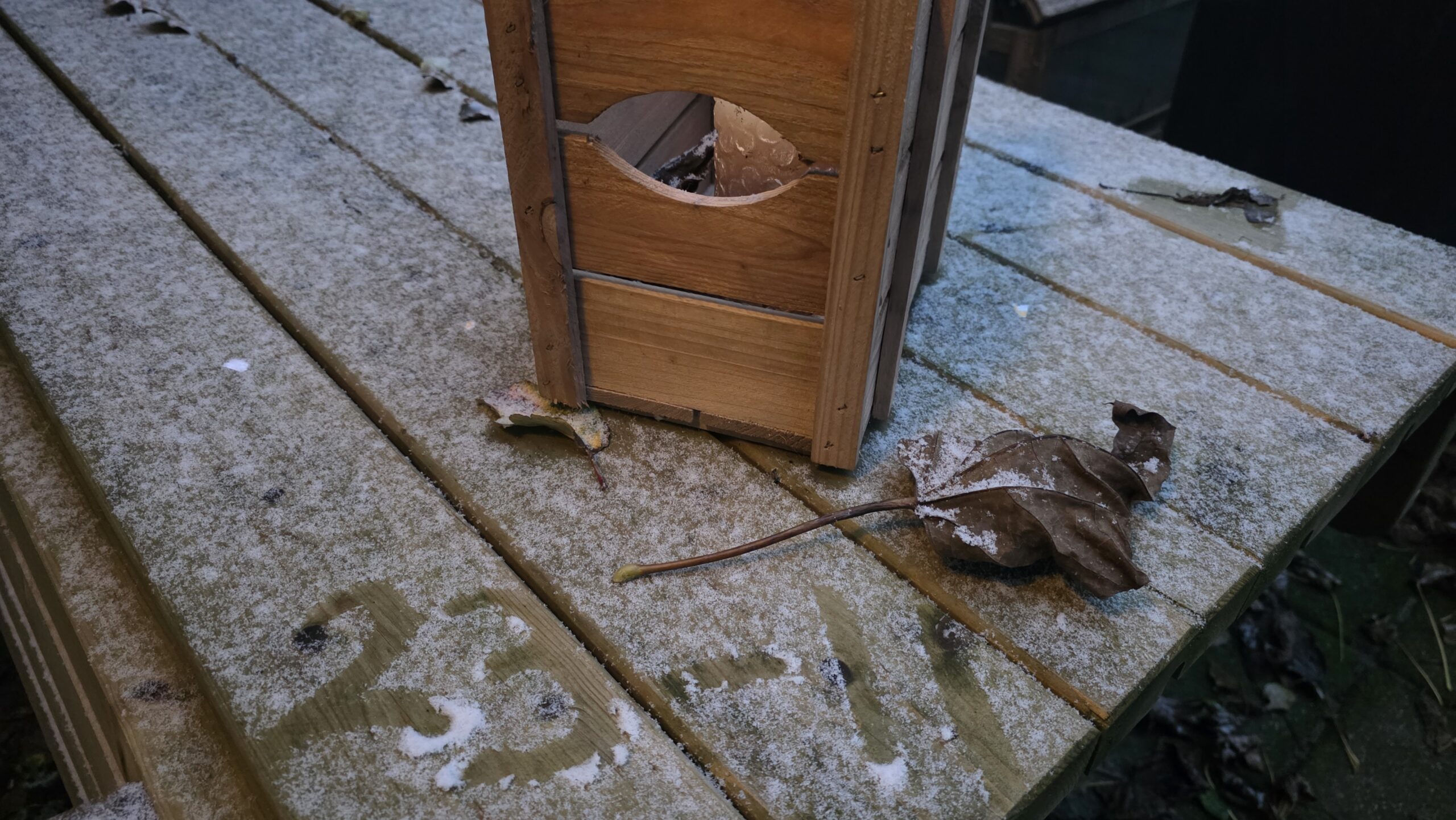 Sneeuwval in grote delen van het land: dit zijn de mooiste sneeuwplaatjes