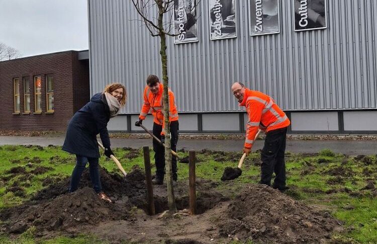 Duurzaam idee leidt tot nieuwe boom bij De Marke