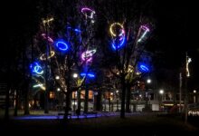 Verlichte bomen met kleurrijke ringen bij het Kerkbrugje in Zwolle, onderdeel van de lichtbeeldenroute.