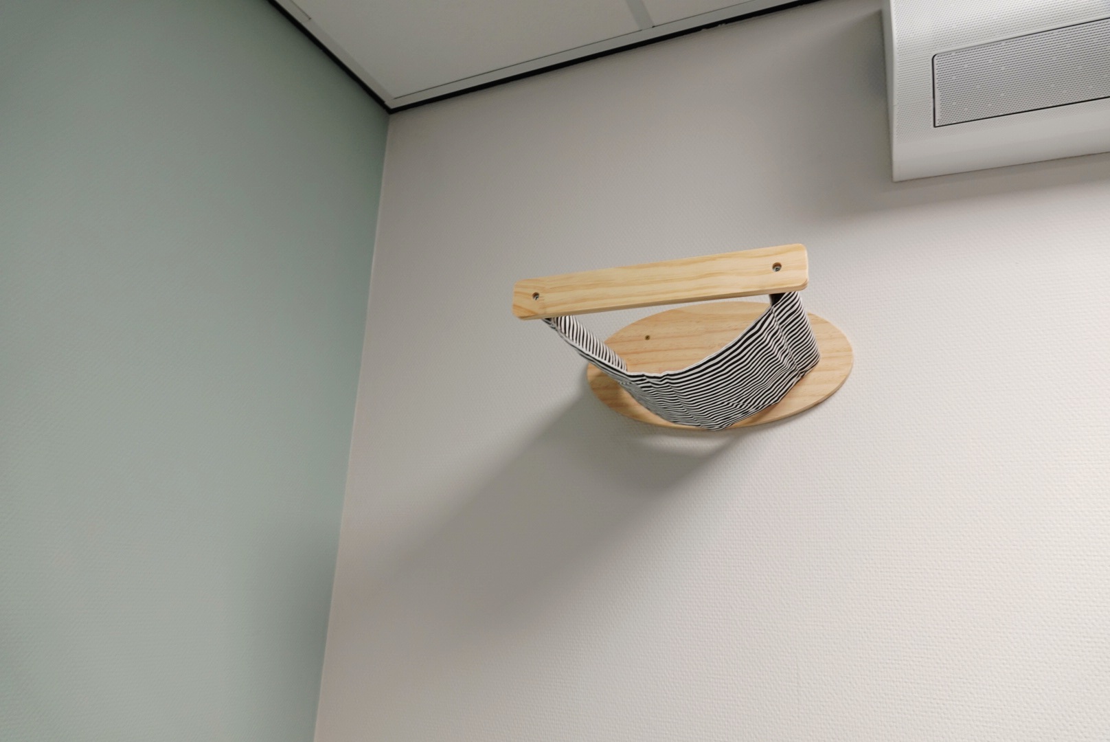 Speciale kattenkamer in de Zwolse Dierenkliniek - Foto © RTV Focus Zwolle