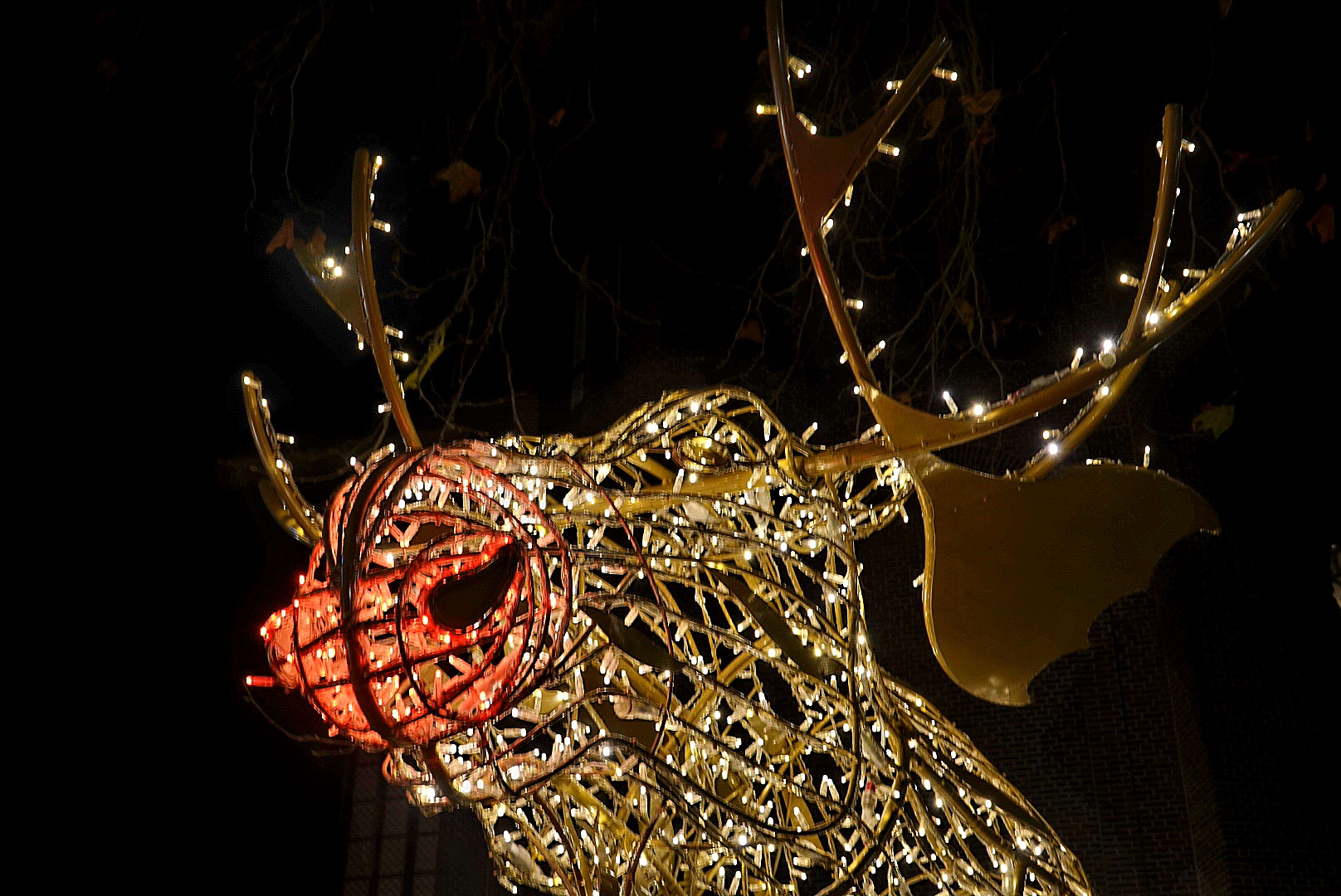 Close-up van het verlichte rendier Henri the Moose met rood oplichtende neus tijdens de Lichtbeeldenroute Zwolle, Luttekestraat.