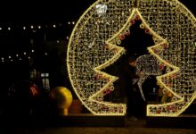 Verlichte kerstboom met doorkijk en hert op het Broerenkerkplein in Zwolle, met bezoekers die door het lichtkunstwerk lopen tijdens de Lichtbeeldenroute.