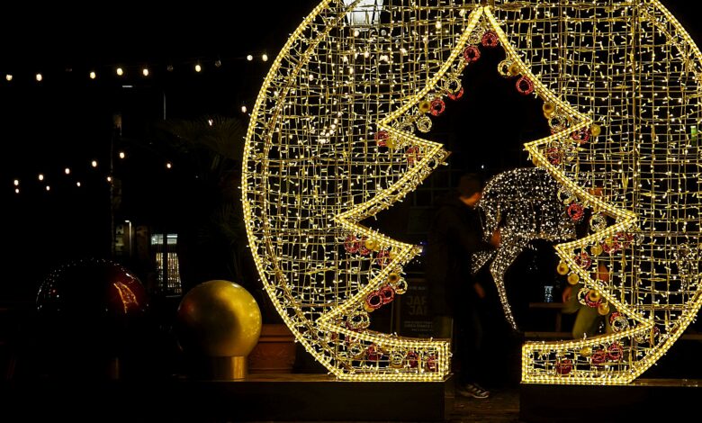 Verlichte kerstboom met doorkijk en hert op het Broerenkerkplein in Zwolle, met bezoekers die door het lichtkunstwerk lopen tijdens de Lichtbeeldenroute.