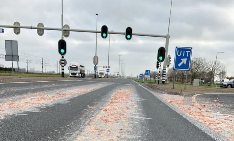 Wegwerkers van Rijkswaterstaat reinigen het met slachtafval vervuilde wegdek op de afgesloten N50 richting Zwolle, met voertuigen die worden omgeleid langs de verzorgingsplaats.