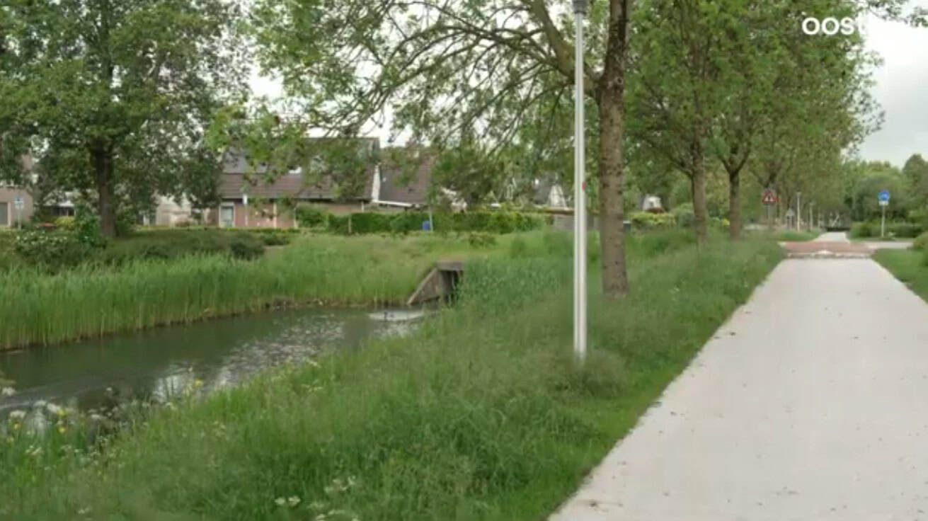 Steenweteringpad in Zwolle-Zuid waar het vuurwapen na de liquidatie werd gevonden