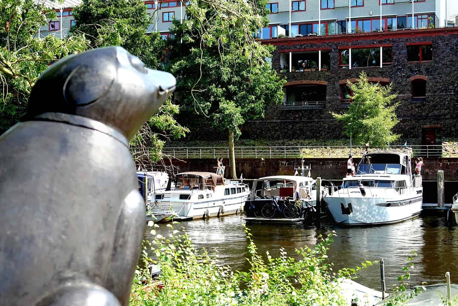 Pelikaanbeeld kijkt uit over plezierboten in de Thorbeckegracht in Zwolle tijdens zonnig zomerweer